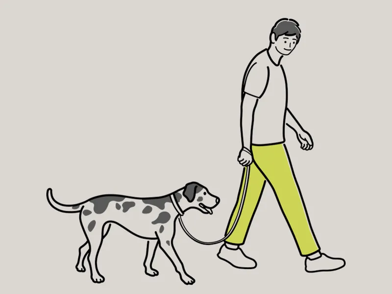 不同人眼中的istp-t（冷静机智，自由奔放的实干家）